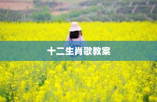十二生肖歌教案