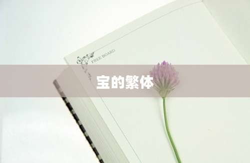 宝的繁体