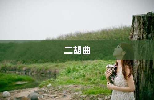 二胡曲