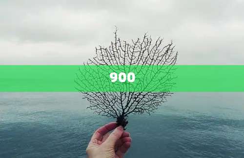 900