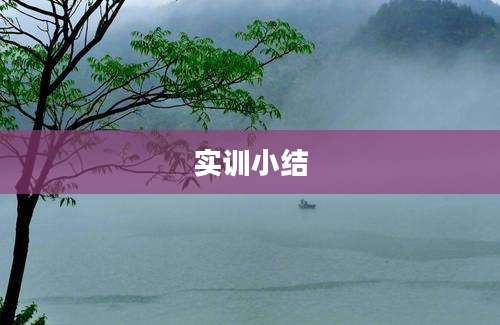 实训小结