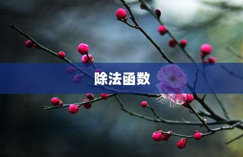 除法函数