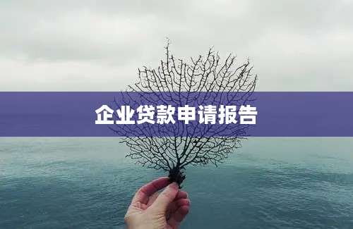 企业贷款申请报告