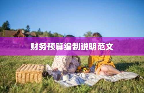 财务预算编制说明范文