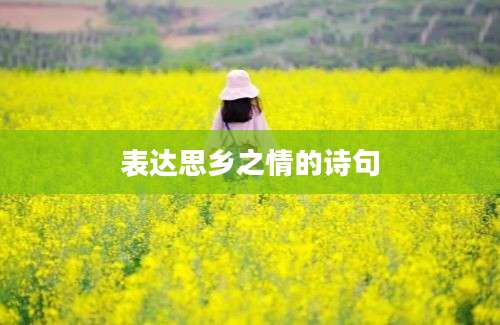 表达思乡之情的诗句