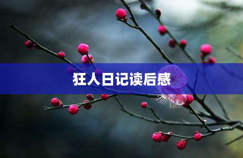 狂人日记读后感