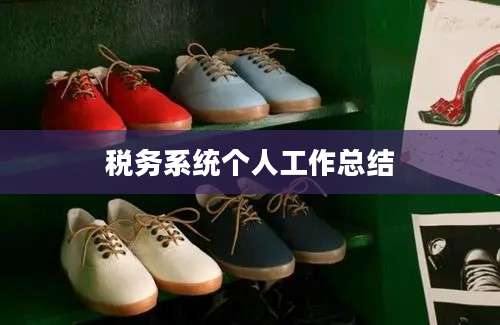税务系统个人工作总结