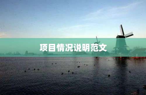 项目情况说明范文