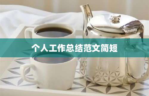 个人工作总结范文简短