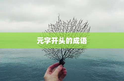 元字开头的成语