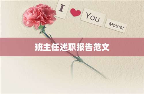 班主任述职报告范文