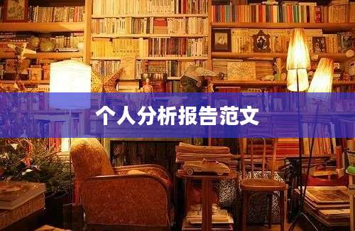 个人分析报告范文