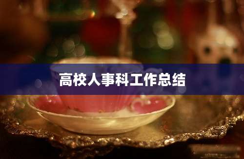 高校人事科工作总结