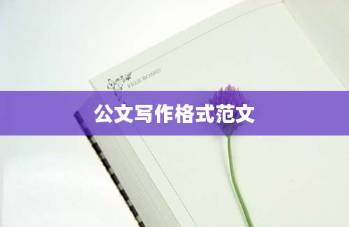 公文写作格式范文