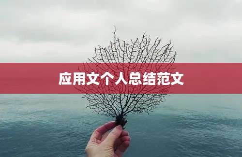 应用文个人总结范文