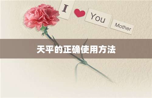 天平的正确使用方法