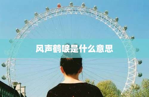 风声鹤唳是什么意思