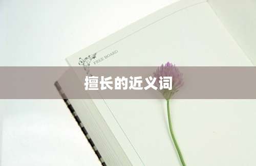 擅长的近义词