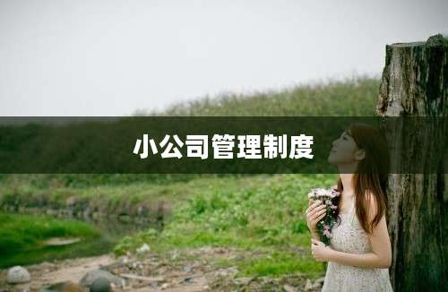 小公司管理制度