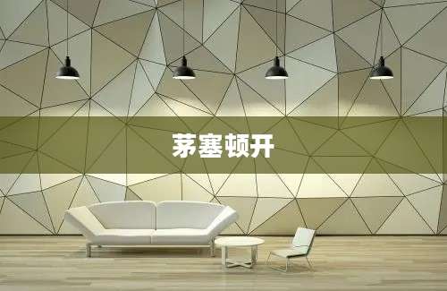 茅塞顿开
