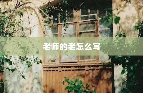 老师的老怎么写