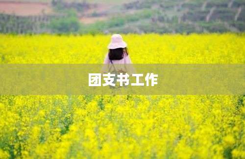 团支书工作