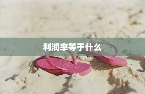 利润率等于什么