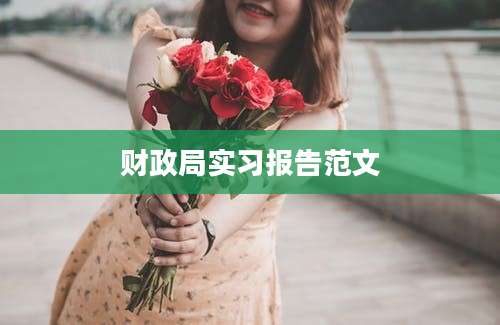 财政局实习报告范文