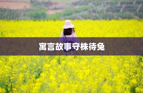 寓言故事守株待兔