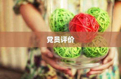 党员评价
