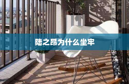 陆之昂为什么坐牢