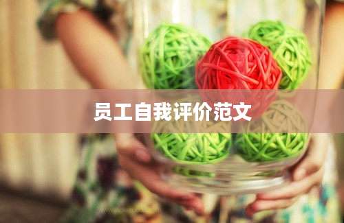 员工自我评价范文