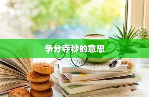 争分夺秒的意思