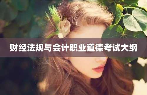 财经法规与会计职业道德考试大纲