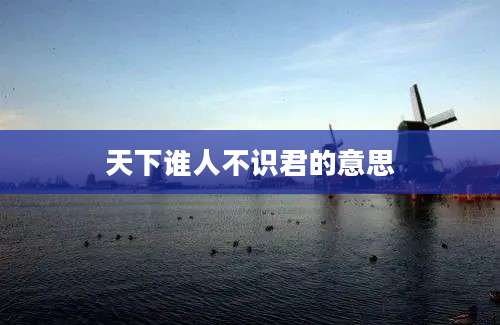 天下谁人不识君的意思