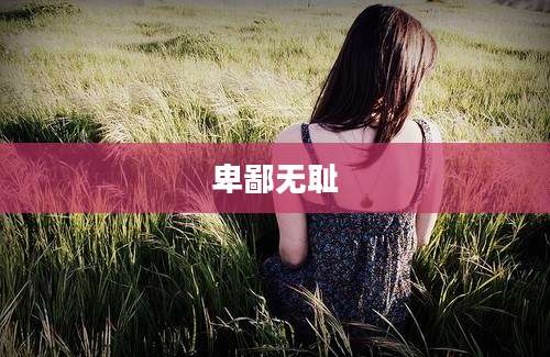 卑鄙无耻