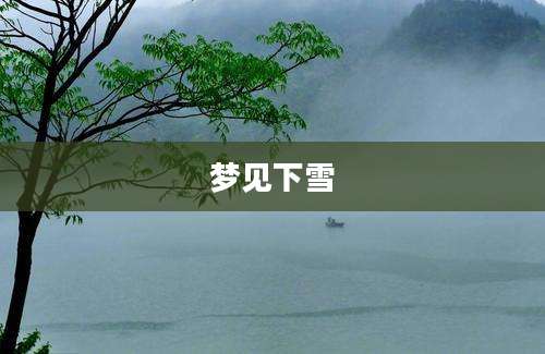 梦见下雪