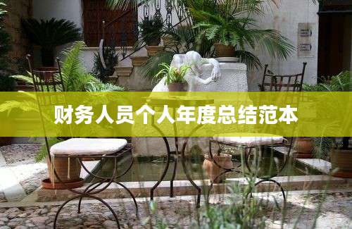 财务人员个人年度总结范本