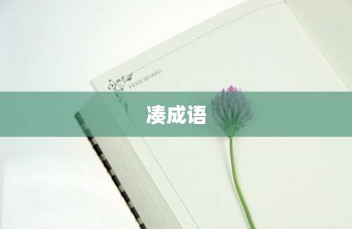 凑成语