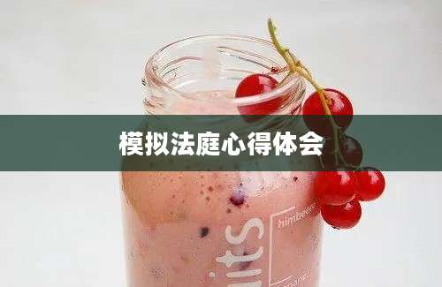 模拟法庭心得体会