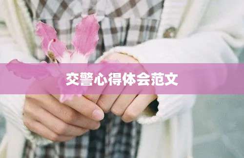 交警心得体会范文