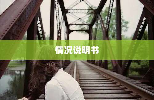 情况说明书