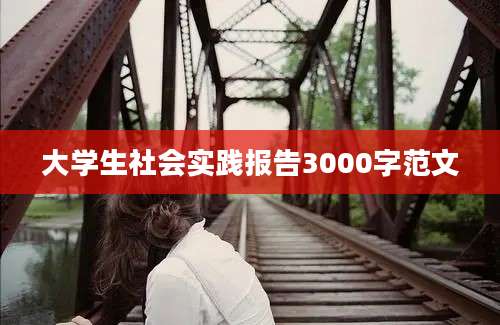 大学生社会实践报告3000字范文