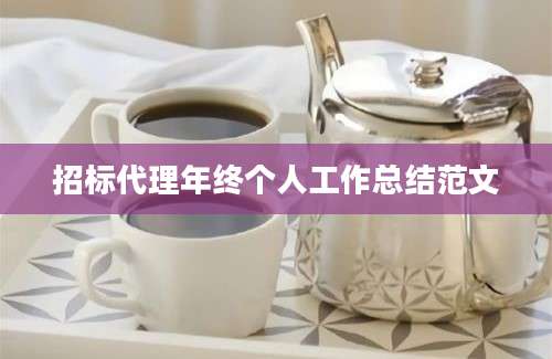 招标代理年终个人工作总结范文