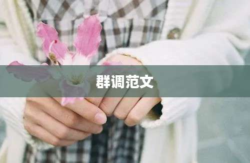 群调范文