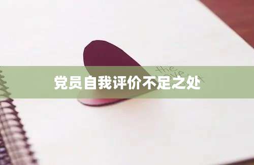 党员自我评价不足之处