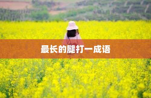 最长的腿打一成语
