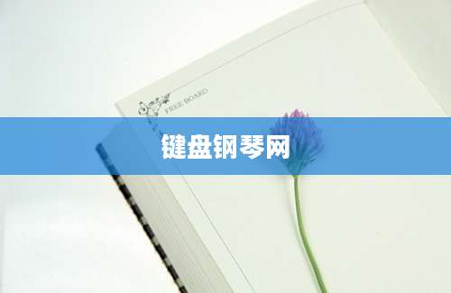 键盘钢琴网