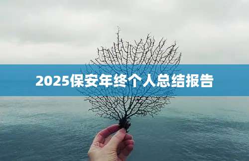 2025保安年终个人总结报告