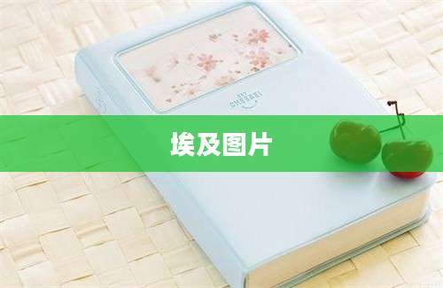埃及图片
